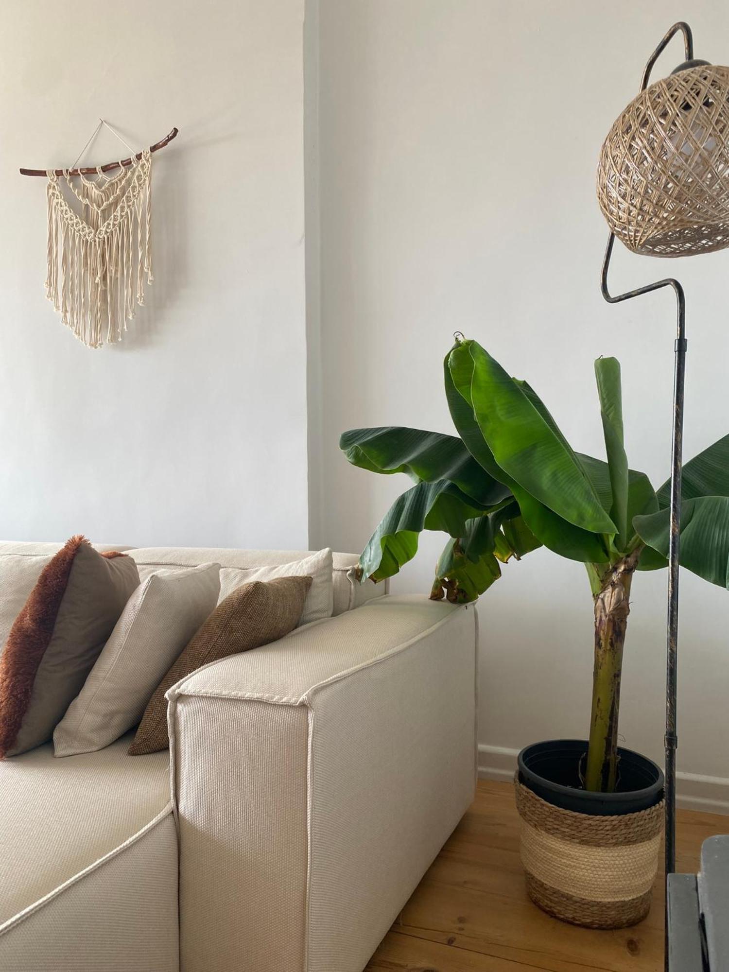 Fantastic Golden Horn View In Beyoglu, Cozy Design Apartment อิสตันบูล ภายนอก รูปภาพ